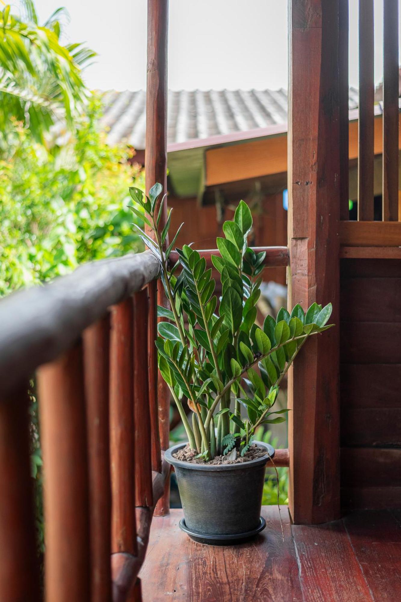 Paddy Fields Haven - Natures Nest Pai Exterior photo