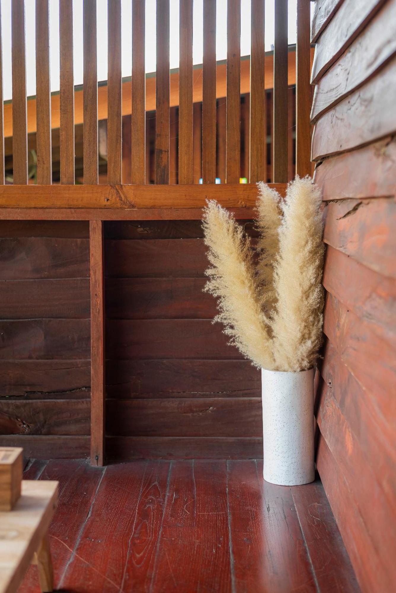 Paddy Fields Haven - Natures Nest Pai Exterior photo