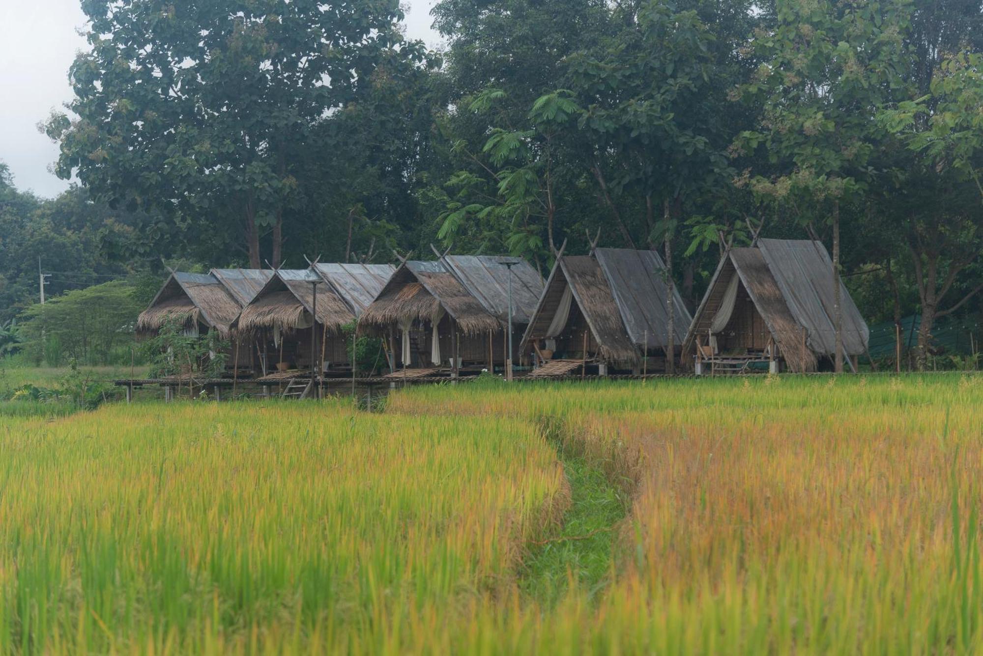 Paddy Fields Haven - Natures Nest Pai Exterior photo