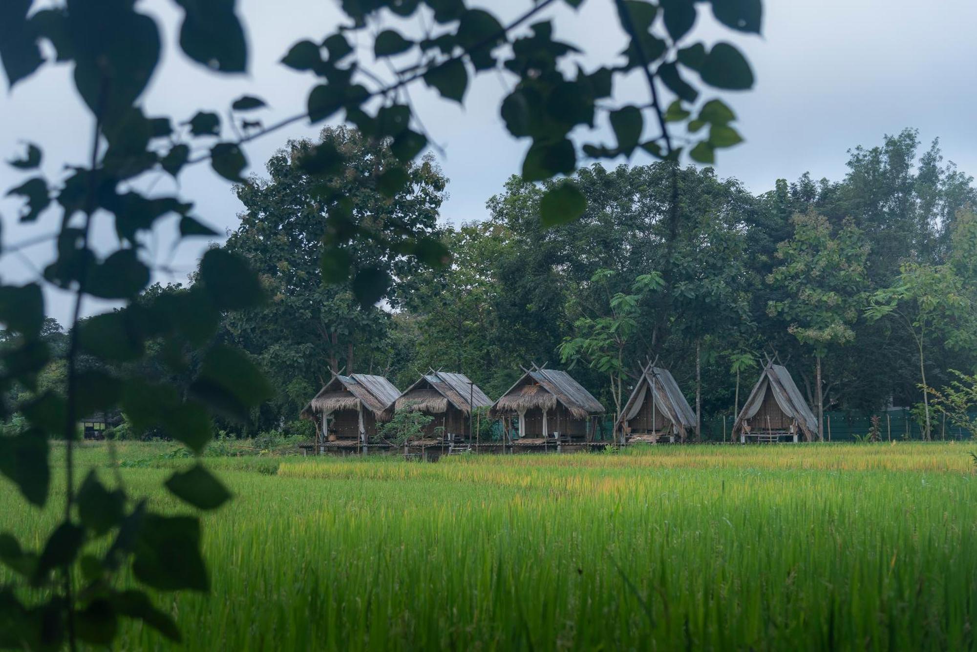 Paddy Fields Haven - Natures Nest Pai Exterior photo