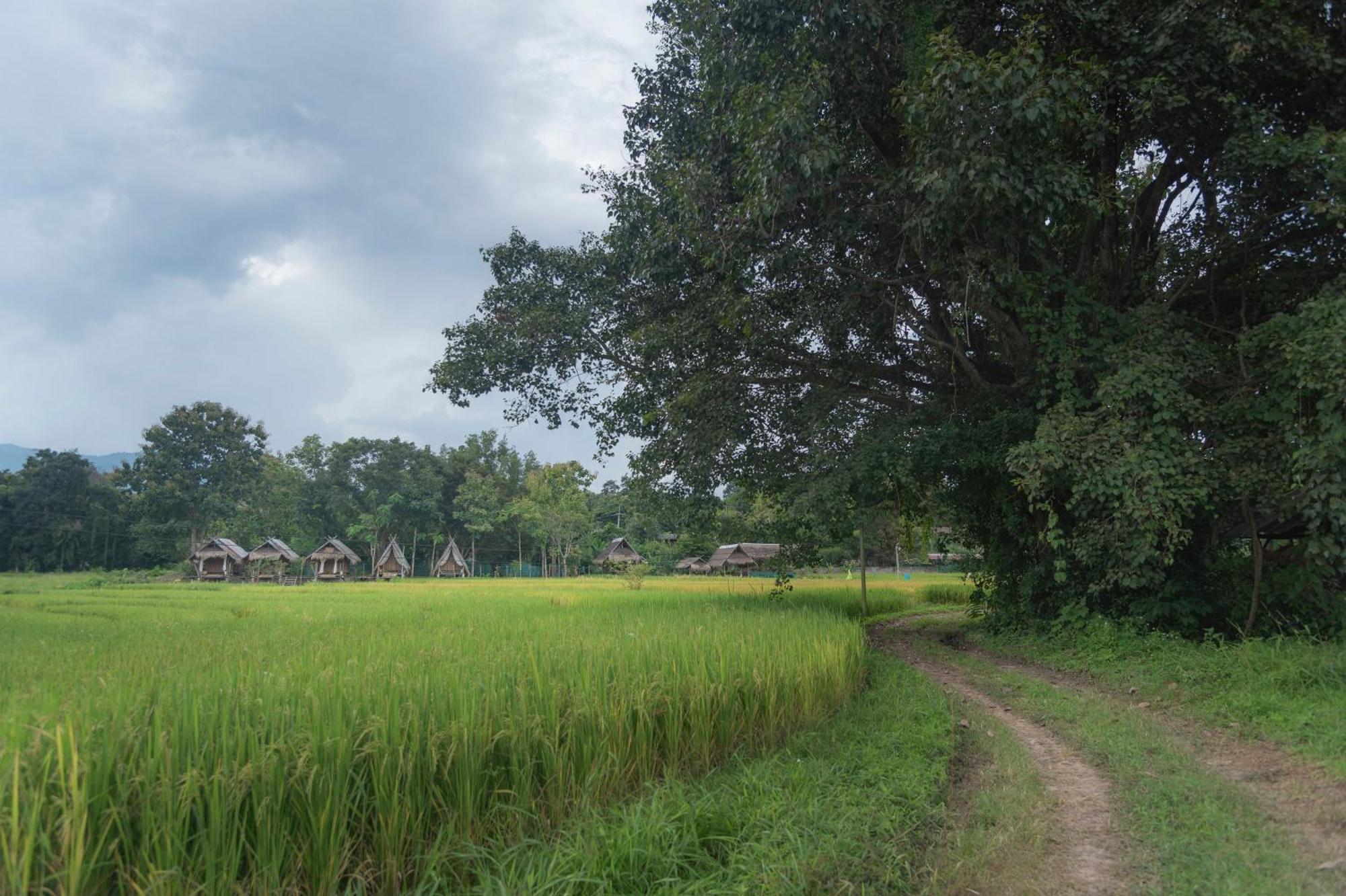 Paddy Fields Haven - Natures Nest Pai Exterior photo