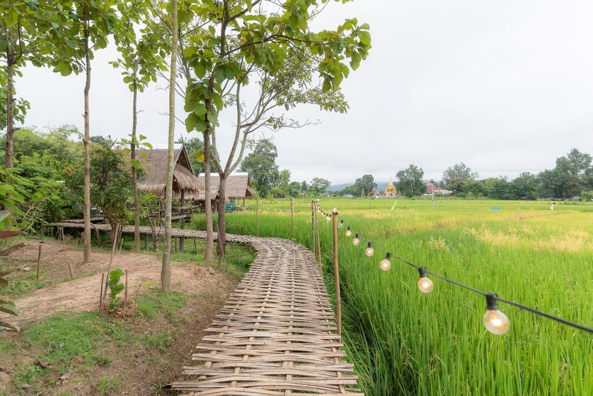 Paddy Fields Haven - Natures Nest Pai Exterior photo