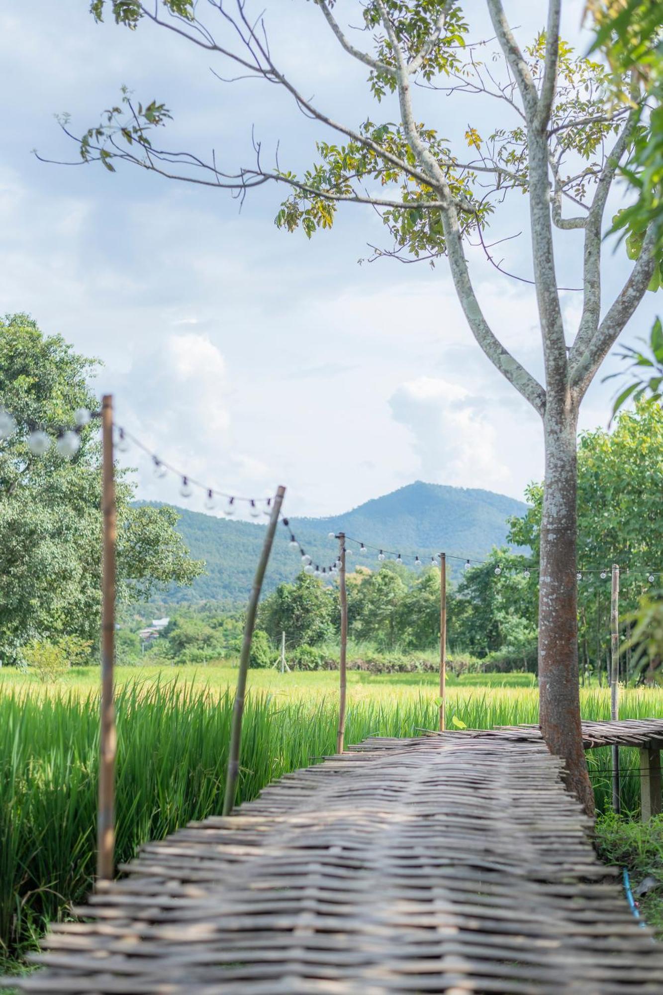 Paddy Fields Haven - Natures Nest Pai Exterior photo