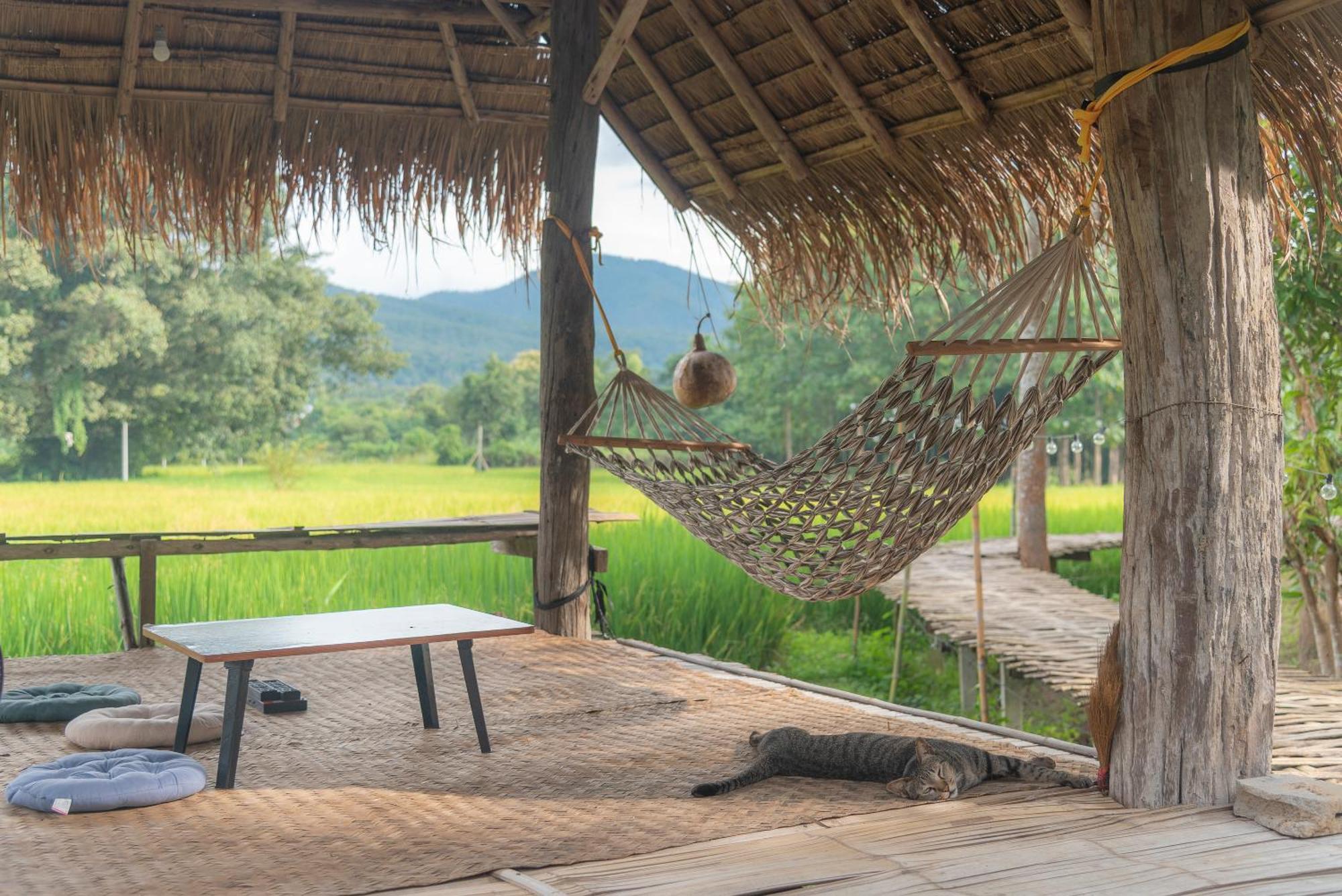 Paddy Fields Haven - Natures Nest Pai Exterior photo