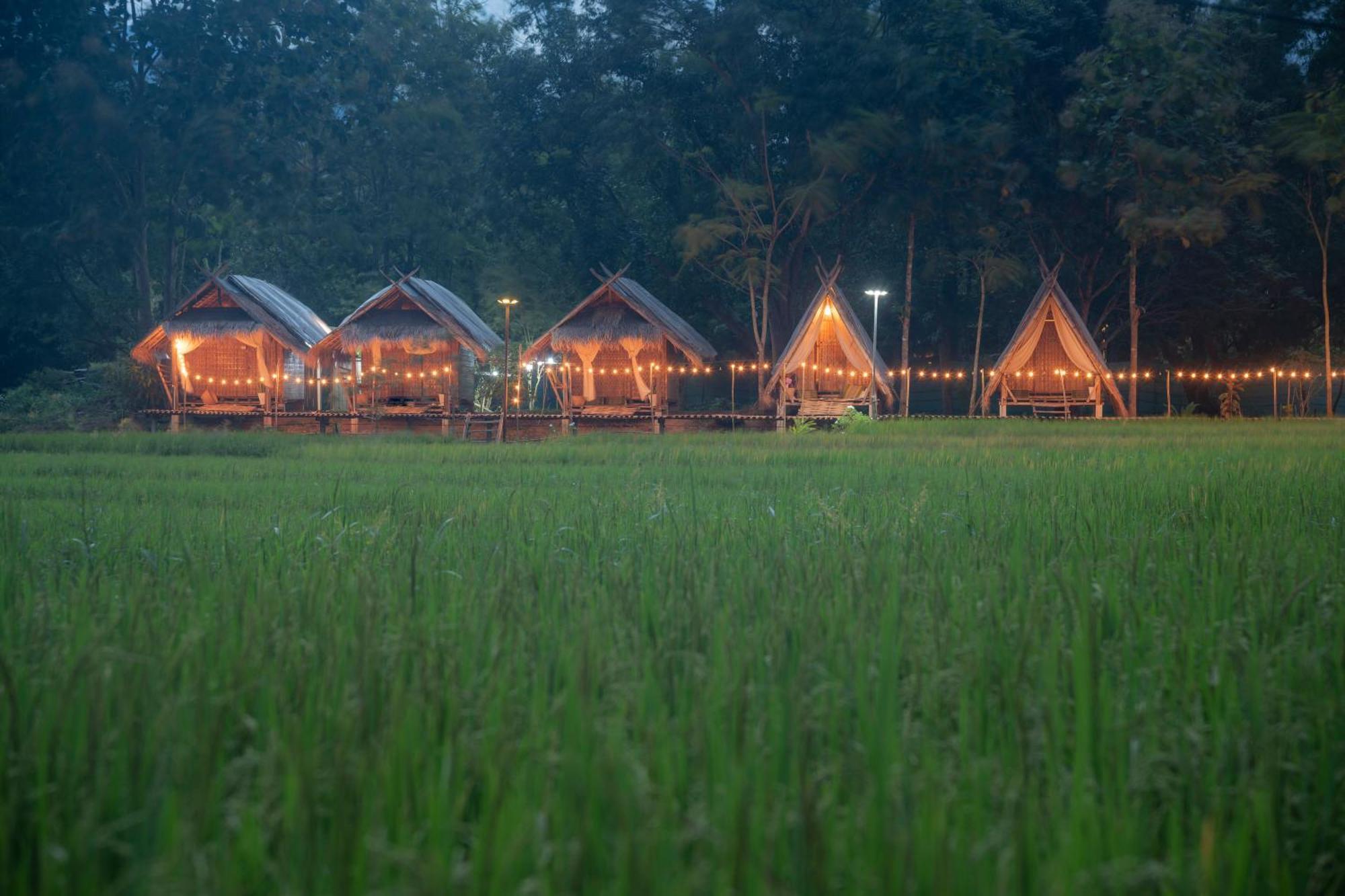 Paddy Fields Haven - Natures Nest Pai Exterior photo
